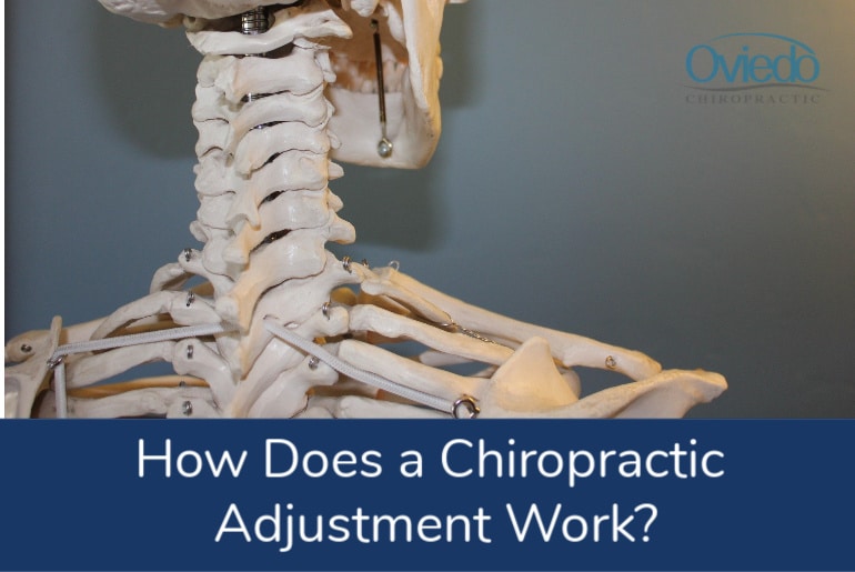 The Science Behind Chiropractic Adjustments