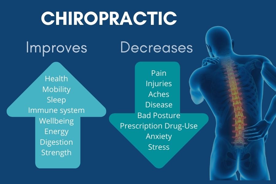 Top-rated Chiropractors